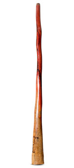 Tristan O'Meara Didgeridoo (TM446)